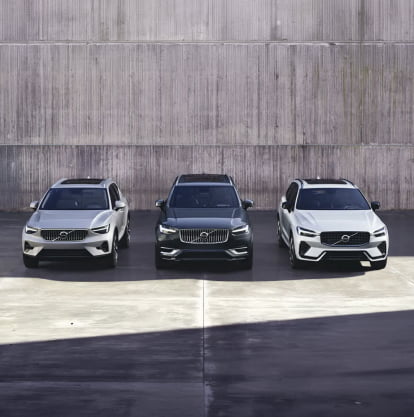 Volvo V60 INSCRIPTION in Pebble Grey metallic, Volvo V60 CROSS COUNTRY in Birch Light metallic, Volvo S60 R-DESIGN in Crystal White Pearl, Volvo XC60 R-DESIGN TWIN ENIGNE in Crystal White Pearl stehten auf einer sandigen Oberfläche, Berge im Hintergrund
