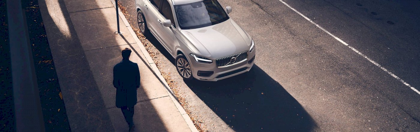 Volvo_XC90_Momentum_Birch_Light_breite_Stray_e_TIM00570_processed.jpg